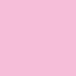 Meet your Posher, Jaisa